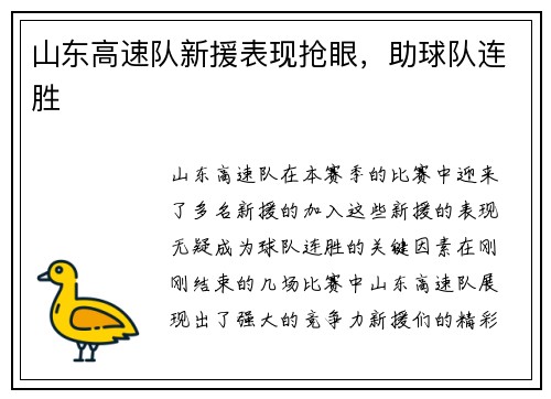 山东高速队新援表现抢眼，助球队连胜